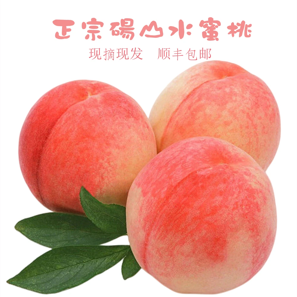 《顺丰包邮》正宗砀山突围水蜜桃桃味十足软糯香甜现摘现发3/5斤装