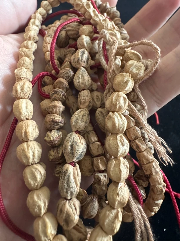 柏香籽补差价链接