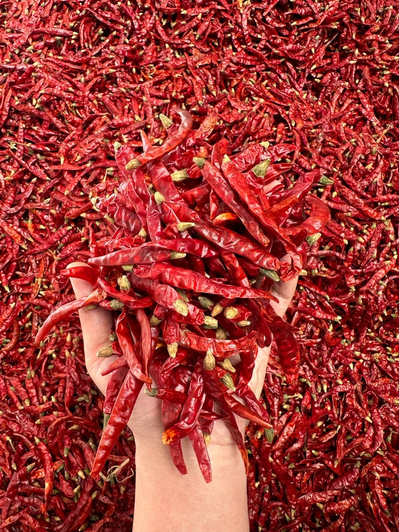 干辣椒新货特辣特香巨辣魔鬼辣朝天椒香辣海椒家用炒菜250g/500g