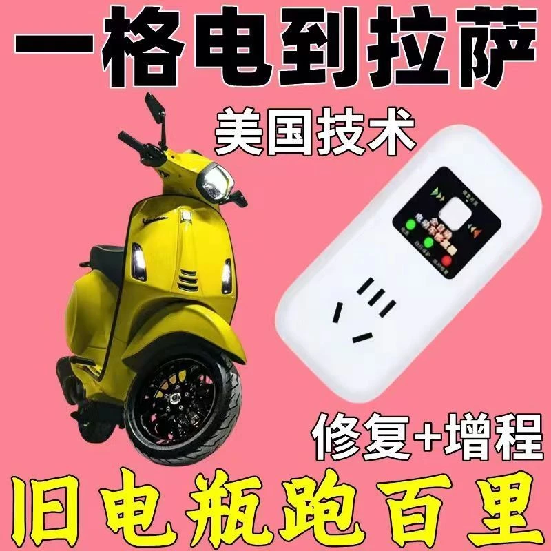 电动车电瓶激活修复充电器电瓶修复神器延长电池寿命锂铅酸插座