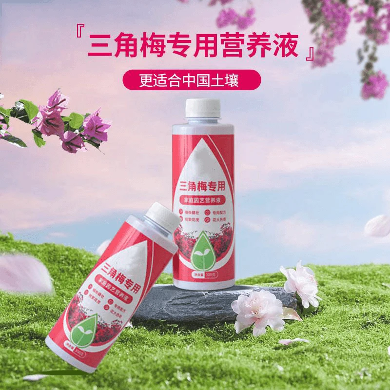 三角梅专用营养液 三角梅专用肥料盆栽花卉通用型