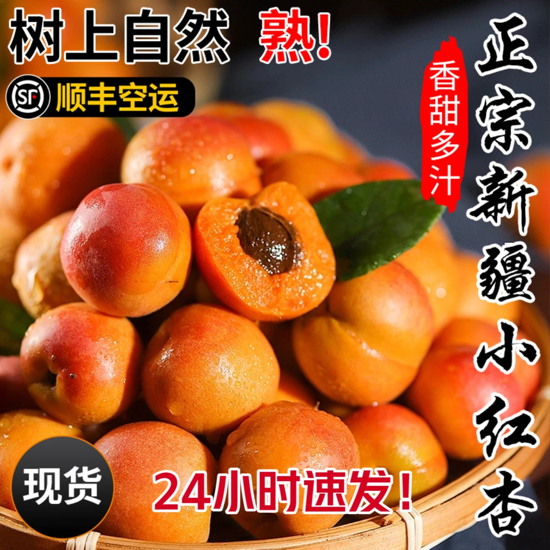 【顺丰特快】新疆小红杏特产顺丰空运阿克苏甜杏子胜小白杏2-5斤