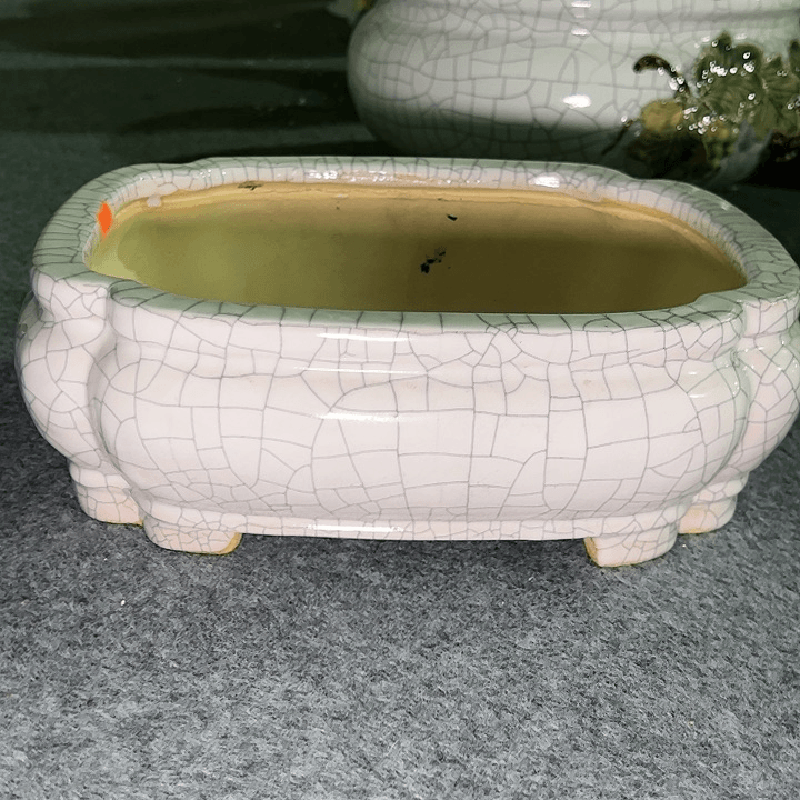 红陶20CM（含）-50CM（不含）夏**热1