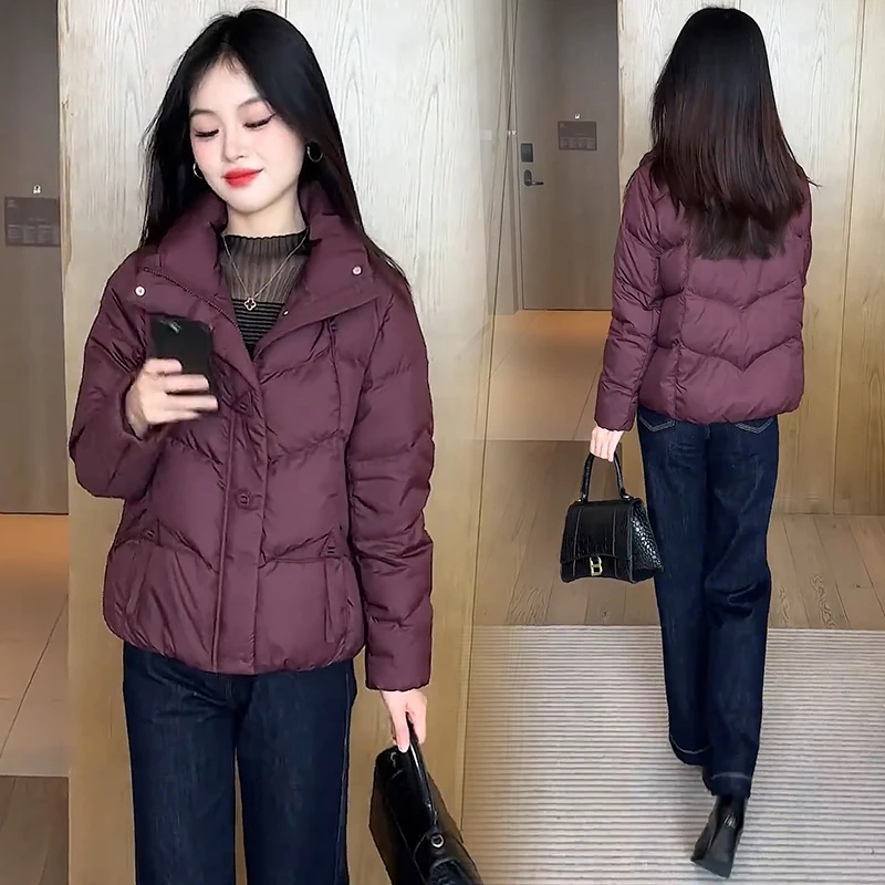 无品牌时尚短款休闲棉衣女2024冬季新款气质保暖百搭棉服棉袄外套