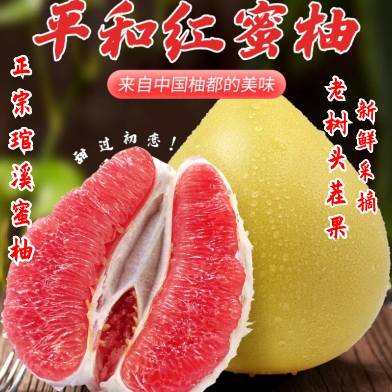 A平和琯溪蜜柚正宗老树红心蜜柚新鲜采摘多汁孕妇水果红心柚(光)