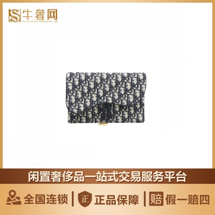 99新 DIOR/迪奥 牛奢网周年庆/迪奥 蓝老话马鞍woc链条包
