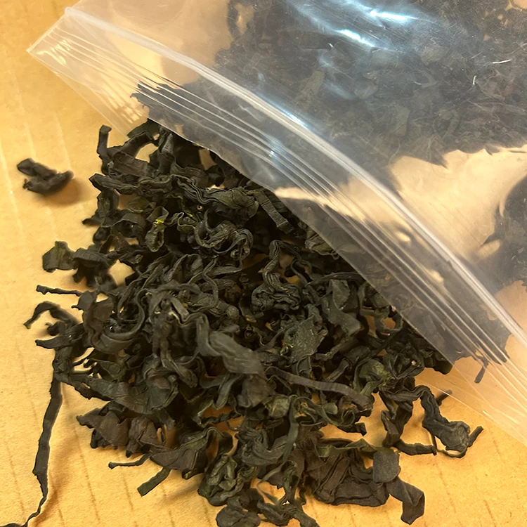 【粉丝福利】免切烘干无沙裙带菜100g海带干货无防腐剂裙带菜干货