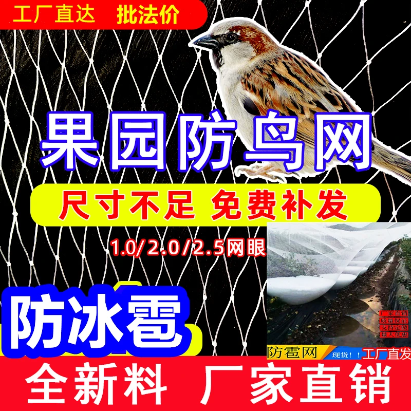 防鸟网防冰雹小虫网孔尼龙果树樱桃嘉宝隐形养殖拦鸡鸭鱼家禽天网
