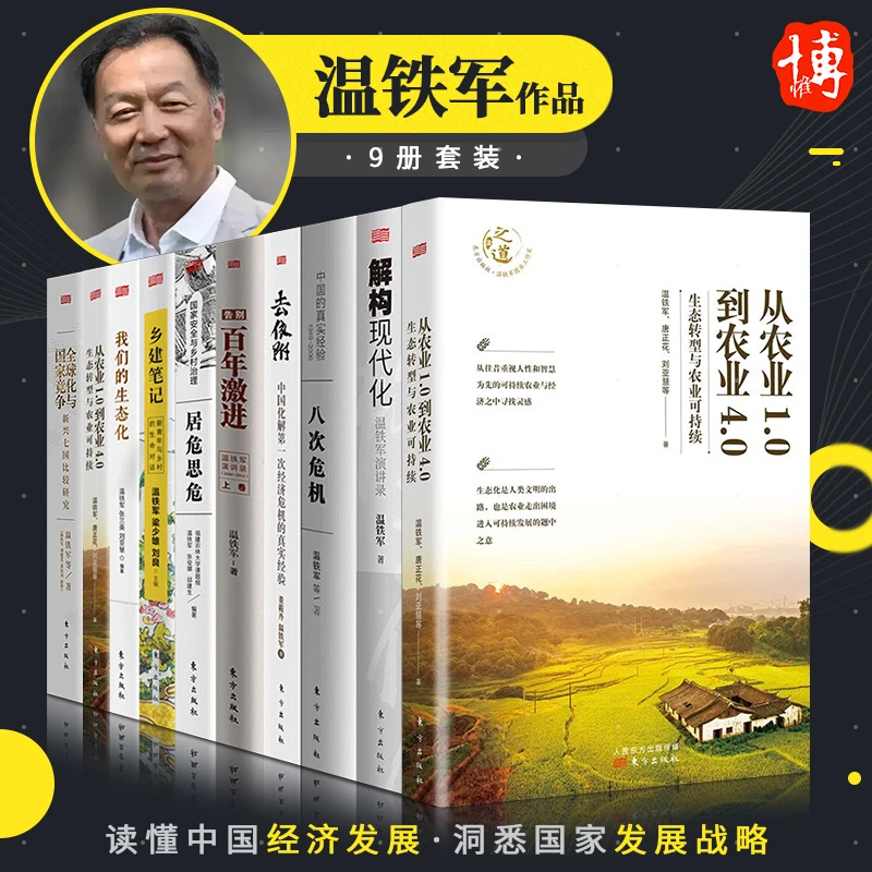 【全9册】优秀全套作品八次危机/去依附/解构现代化/中国经济格局