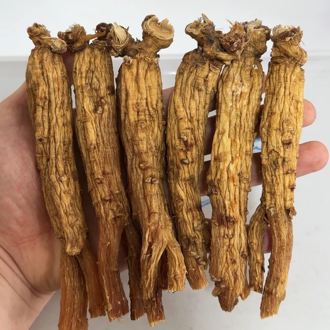 集安边条人参 无糖边条 高丽籽 菊花纹