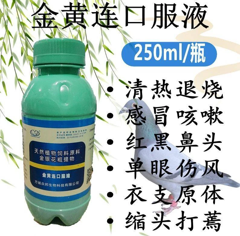 金黄连口服液鸽子消薯维护赛鸽体魄鸽天然使用新老包装随机发