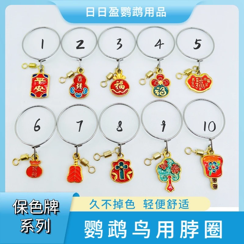 鹦鹉脖套活扣不锈钢栓鸟链子训鸟遛鸟脖圈带链子虎皮玄凤牡丹大头