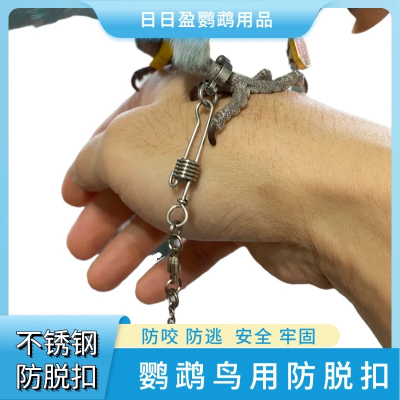 鹦鹉脚链不锈钢防脱扣牡丹虎皮玄凤小太阳和尚脚环链子放飞绳鸟链