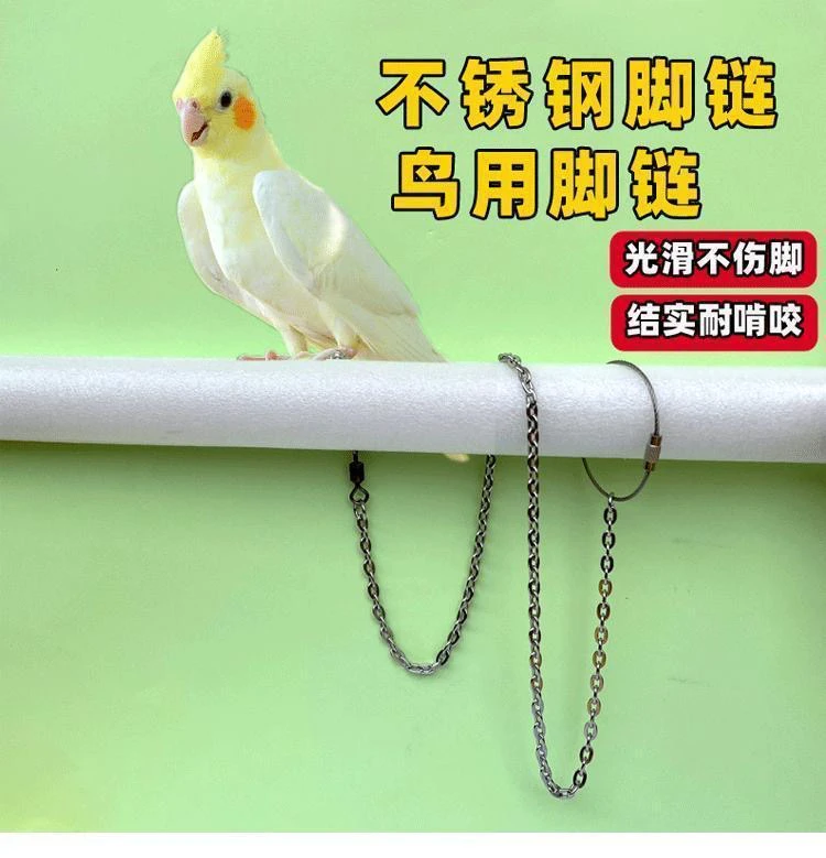 鹦鹉脚环脚链中小型不锈钢鸟链子材质八哥喜鹊玄凤外出绳子不伤鸟