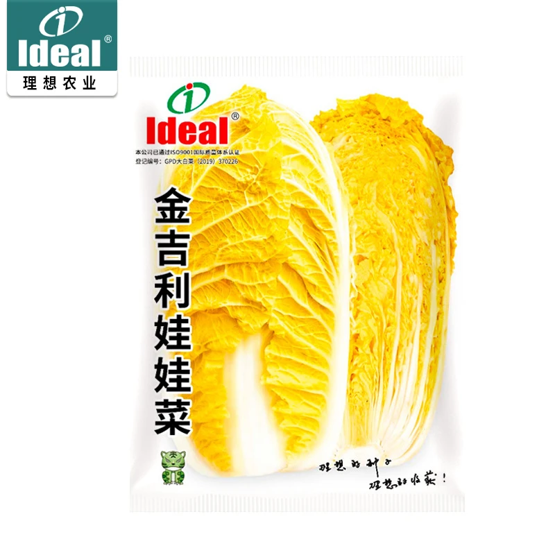 理想金吉利娃娃菜种籽黄心高产小白菜种子秋冬种植耐寒蔬菜种孑