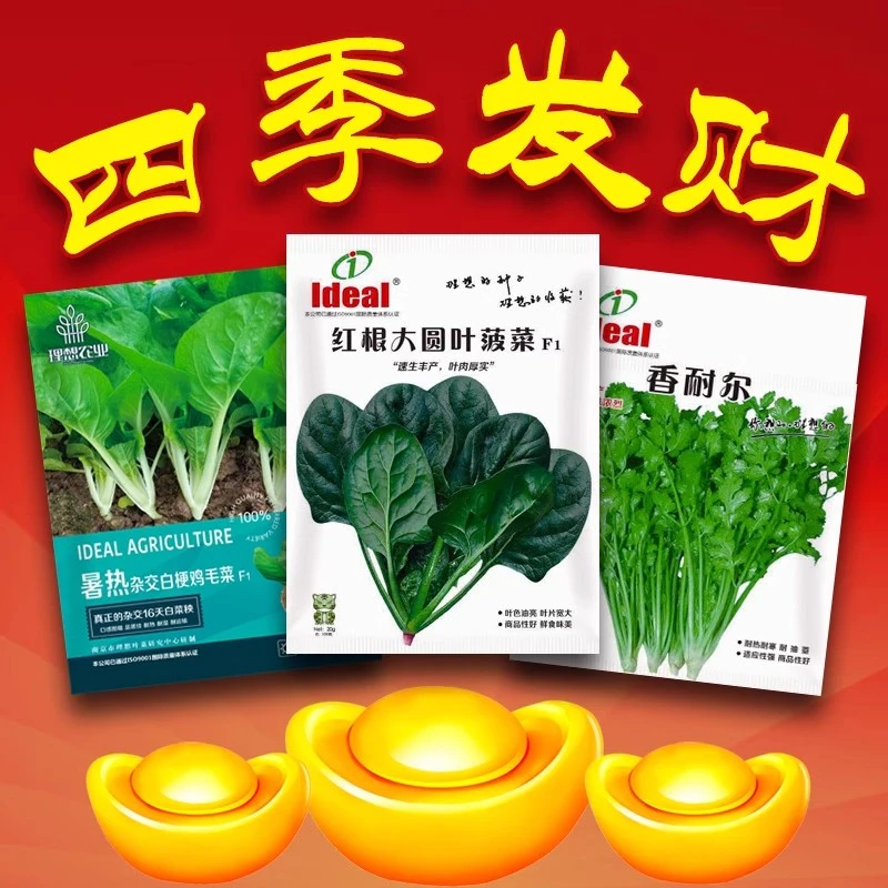 理想农业直播间专享【四季发财】蔬菜种子组合高品质-超划算