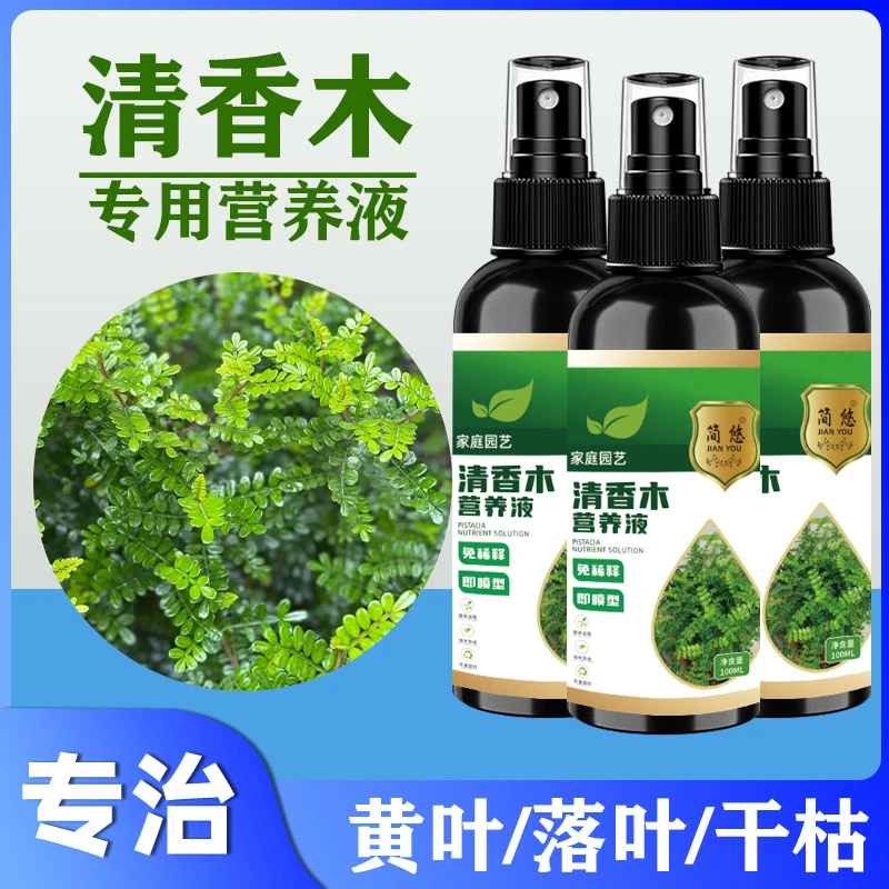 清香木植物营养液促绿改善黄叶干枯低垂生长缓慢免稀释绿专用花肥
