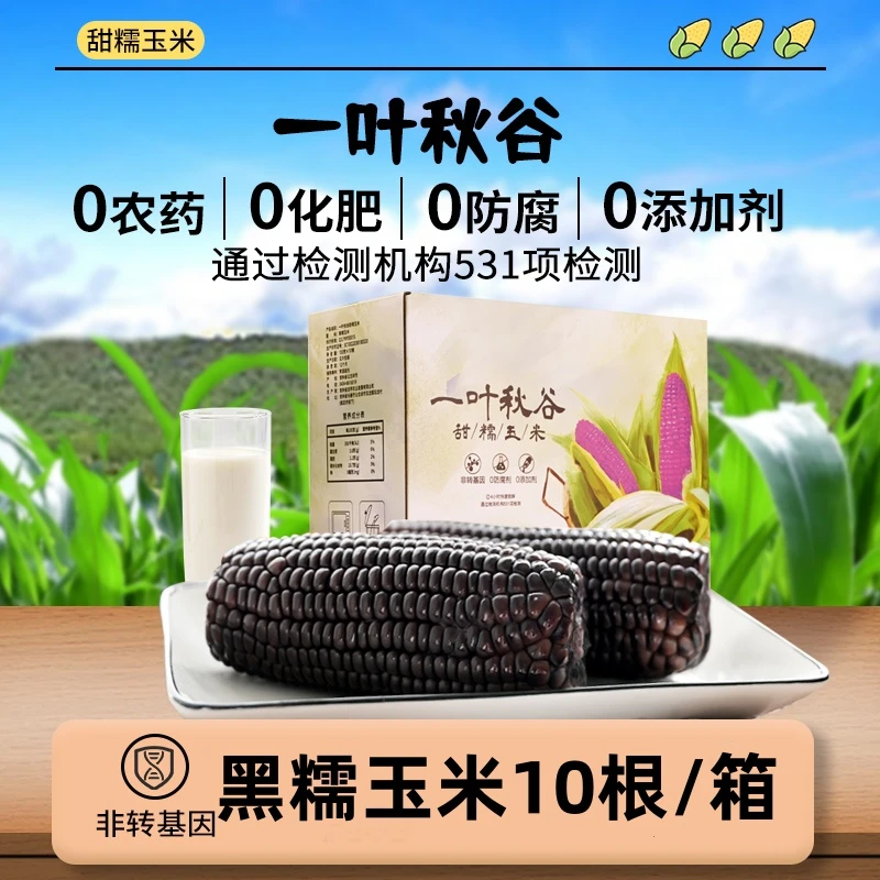 一叶秋谷黑玉米黑糯玉米香甜软糯东北玉米棒苞米真空包装糯玉米
