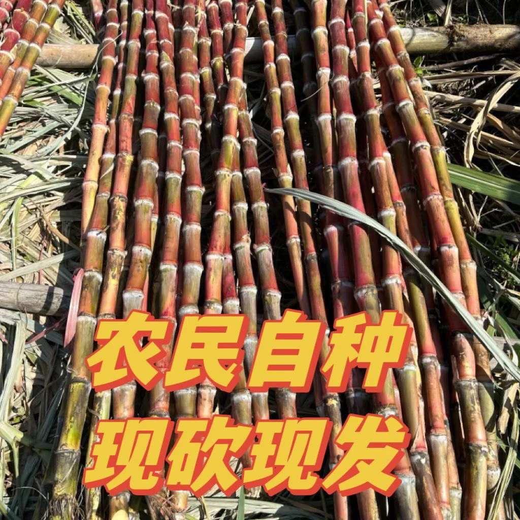云南脆皮红皮罗汉薄皮绿色水果甘蔗文山孕妇果整箱包装当地特产