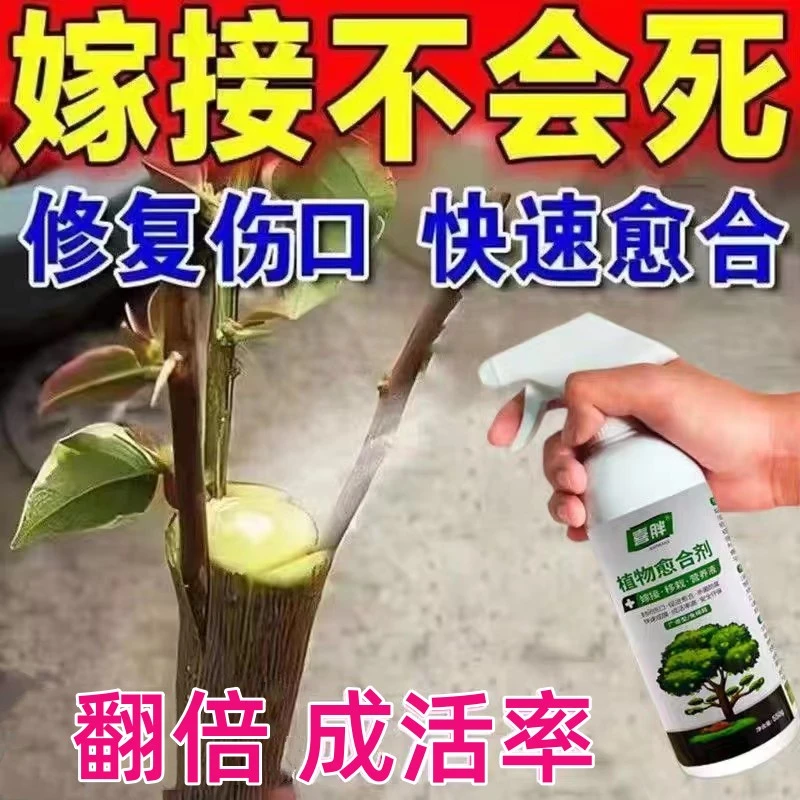 植物嫁接伤口愈合剂果树切口成活愈伤促活液移接生根树木生长剂