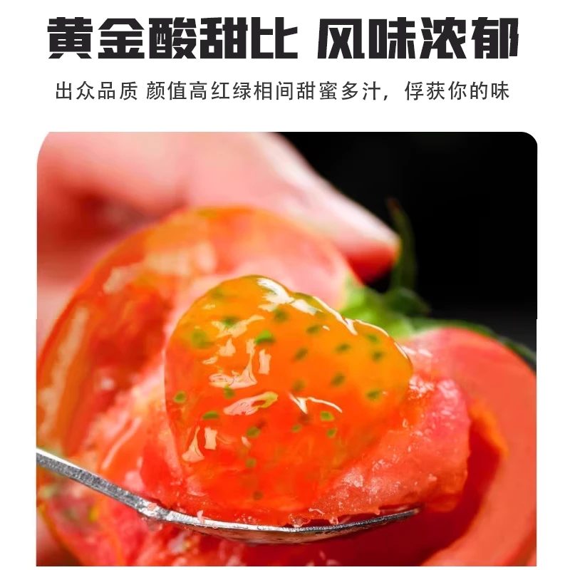 盐碱地西红柿5斤 现摘番茄 铁皮草莓柿子顺丰包邮