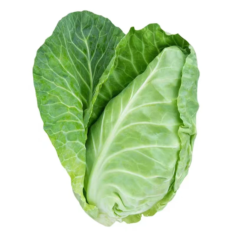 牛心甘蓝种子包菜卷心菜甘兰蔬菜籽大全流心菜正宗贵妃种籽高丽菜