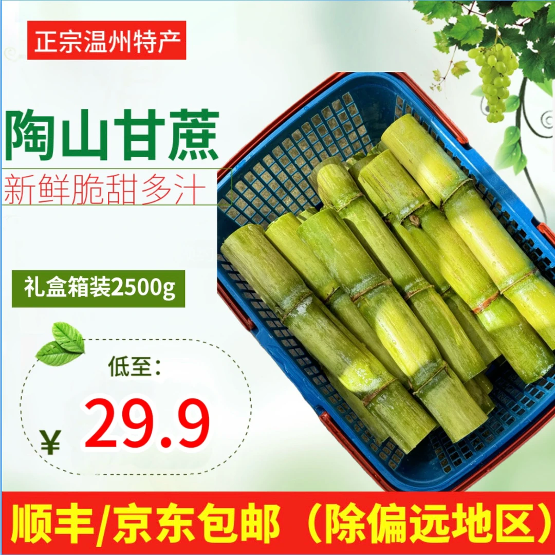 【甘蔗夫妇】温州正宗陶山甘蔗新鲜水果甘蔗爽口汁水多汁皮薄青甘蔗