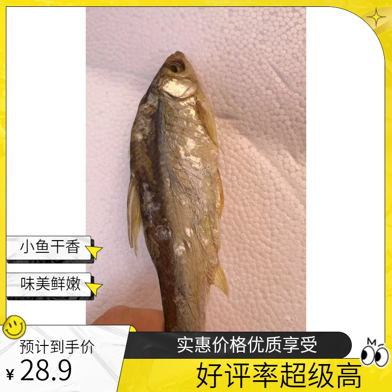 农家特产小鱼干小咸鱼干参条鱼干货淡水河鱼生态鱼