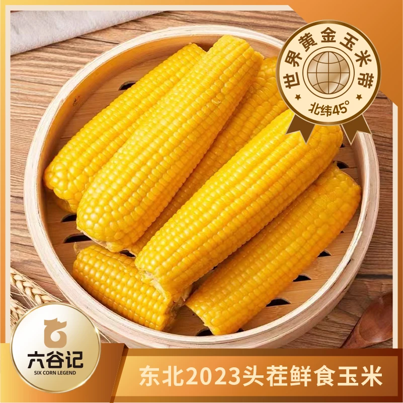 六谷记2023头茬220*8支黄糯采摘粘糯粘苞米真空包装营养天然