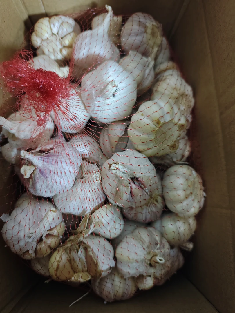 【粉丝福利品】小果，一些掉瓣次果