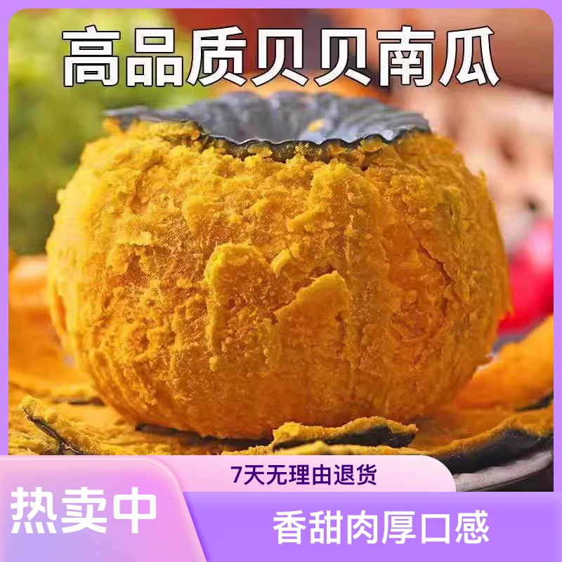 正宗贝贝南瓜粉糯香甜孕妇宝宝辅食板栗味板栗南瓜蔬菜