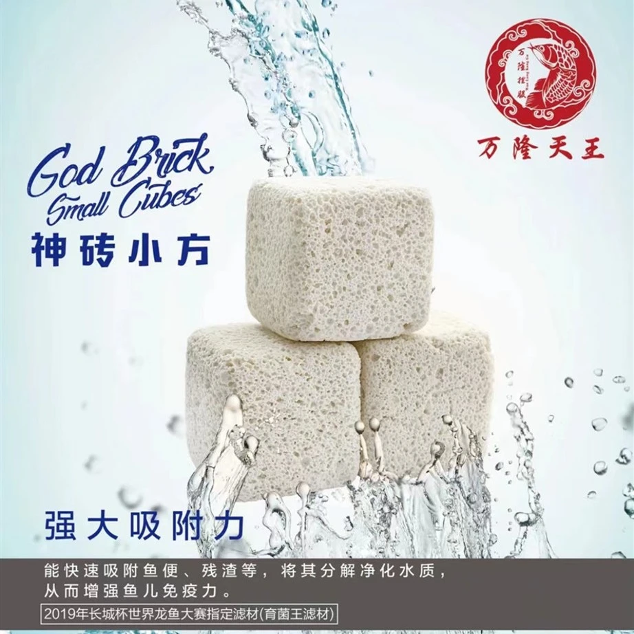 万隆天王神砖小方