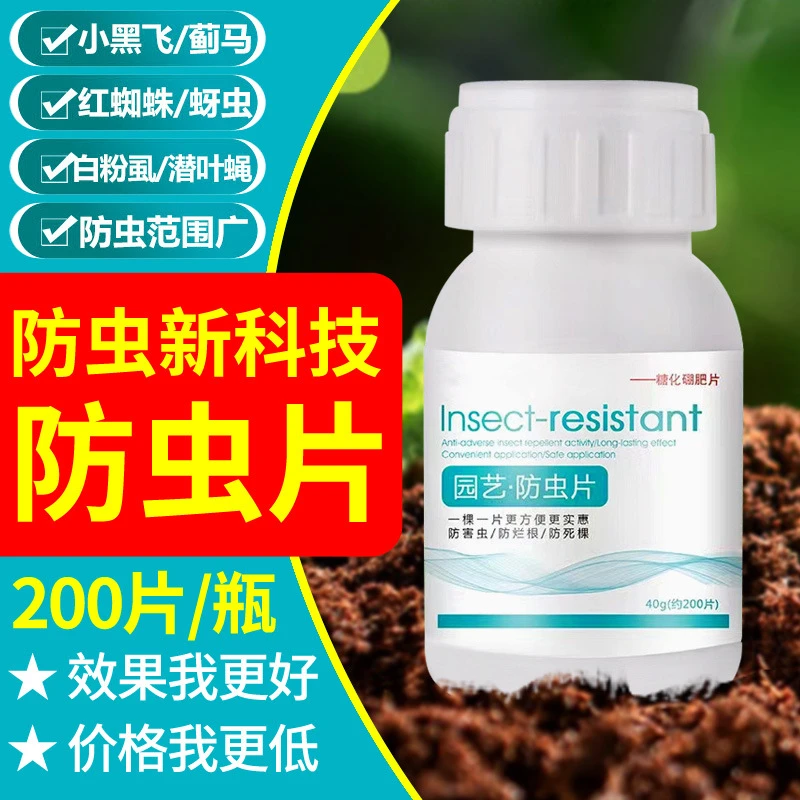 园艺防虫片糖化硼肥片花卉杀虫片小黑飞蚜虫蓟马白粉虱防烂根防害