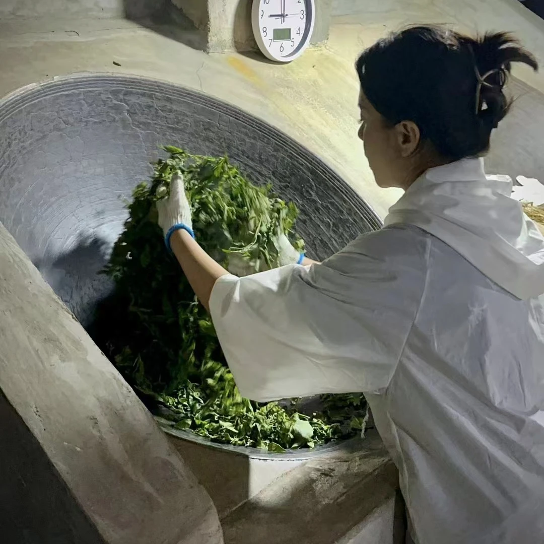 冰岛老寨14号饼茶通用链接