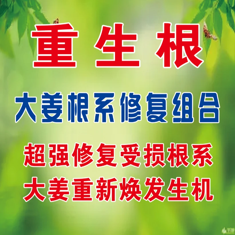 大姜根系修复组合 超强修复受损根系 大姜重新焕发生机 有机肥