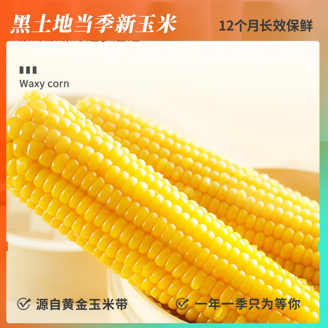 黑土地黄糯玉米12根以上 2.5kg/箱延边北纬 真空粘香糯ZB
