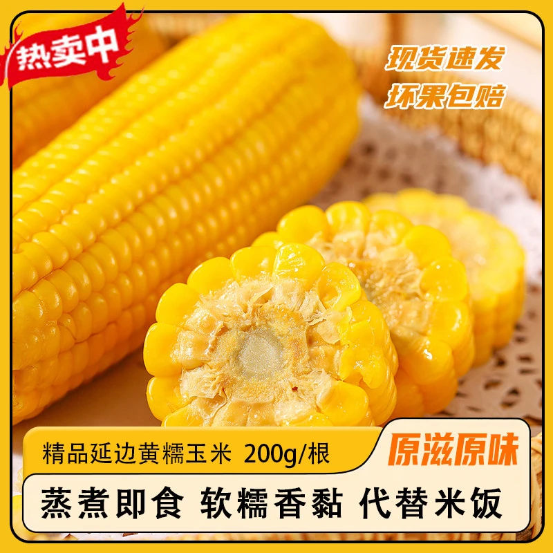 【小金子专属】玉到米 东北鲜食黄糯玉米 200g/根  粘黏真空包装