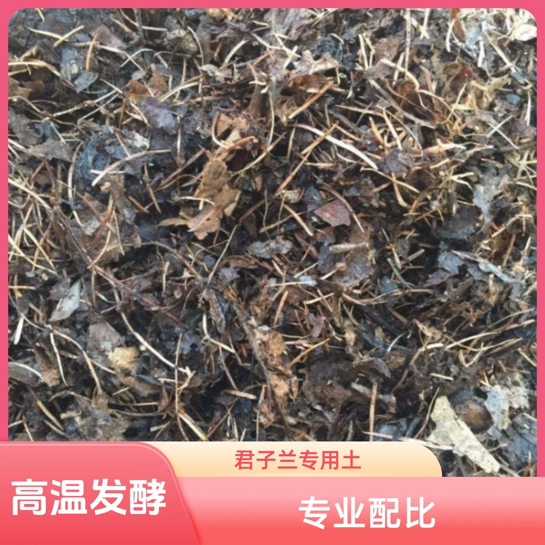 君子兰专用腐叶土有机营养土橡树叶腐熟树叶