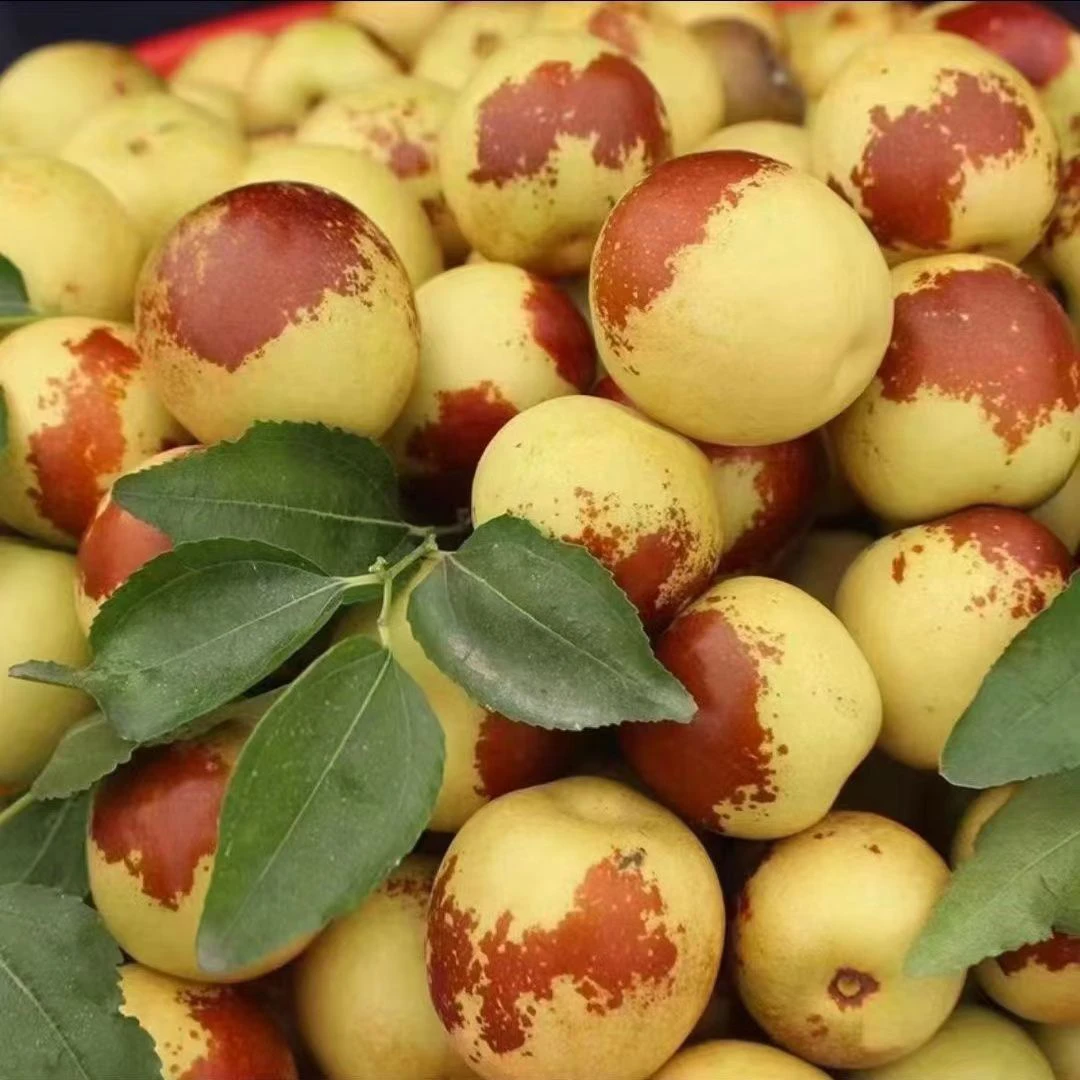 大荔冬枣脆甜散称一斤