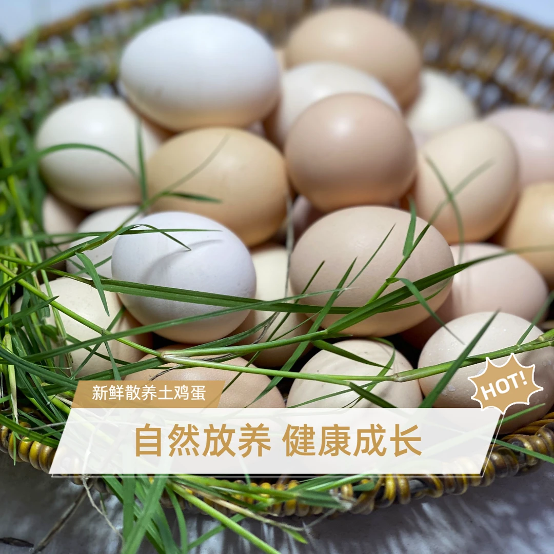 谷物土鸡蛋新鲜散养土鸡蛋林下土鸡蛋草鸡蛋散养笨鸡蛋50枚装