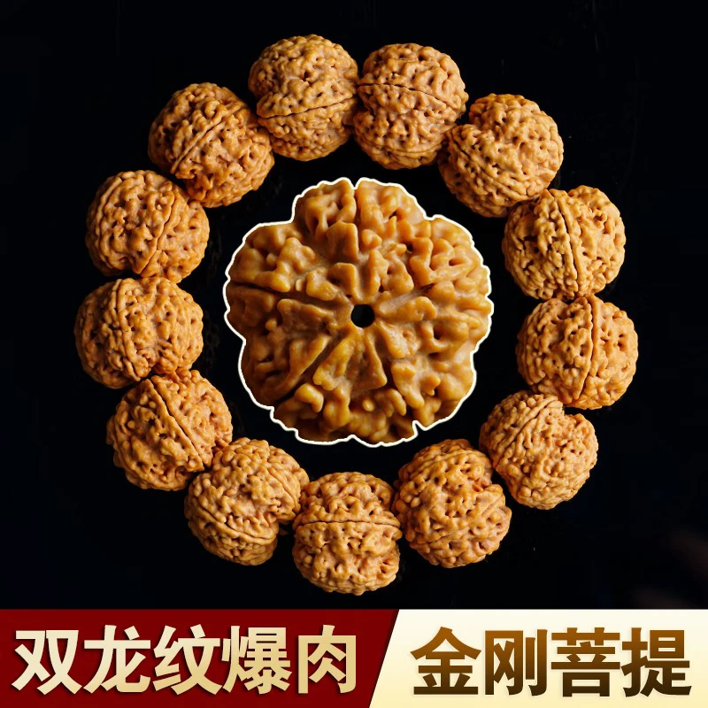 尼泊尔满肉大金刚菩提手串双龙天然原籽梅花桩文玩手串男佛珠手串