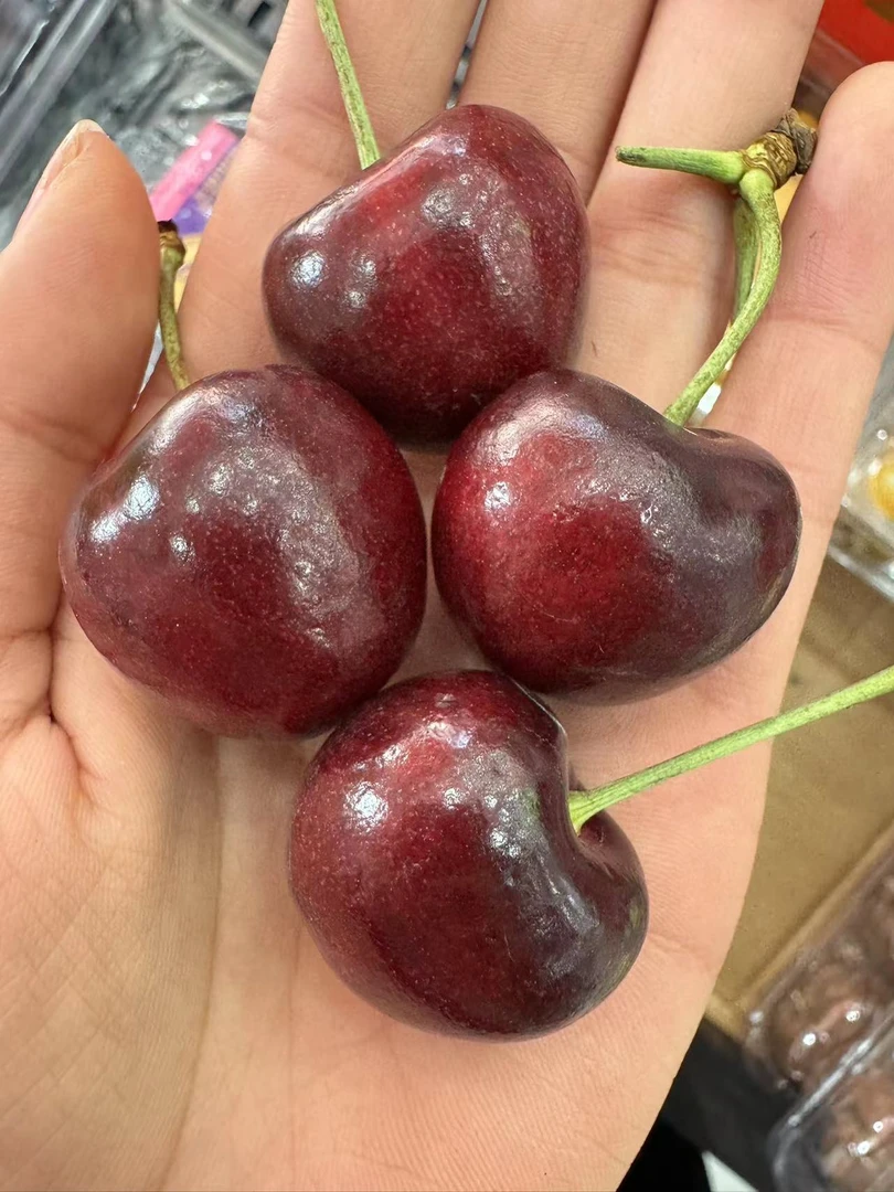 智利车厘子2jj原箱5斤（桑提娜）