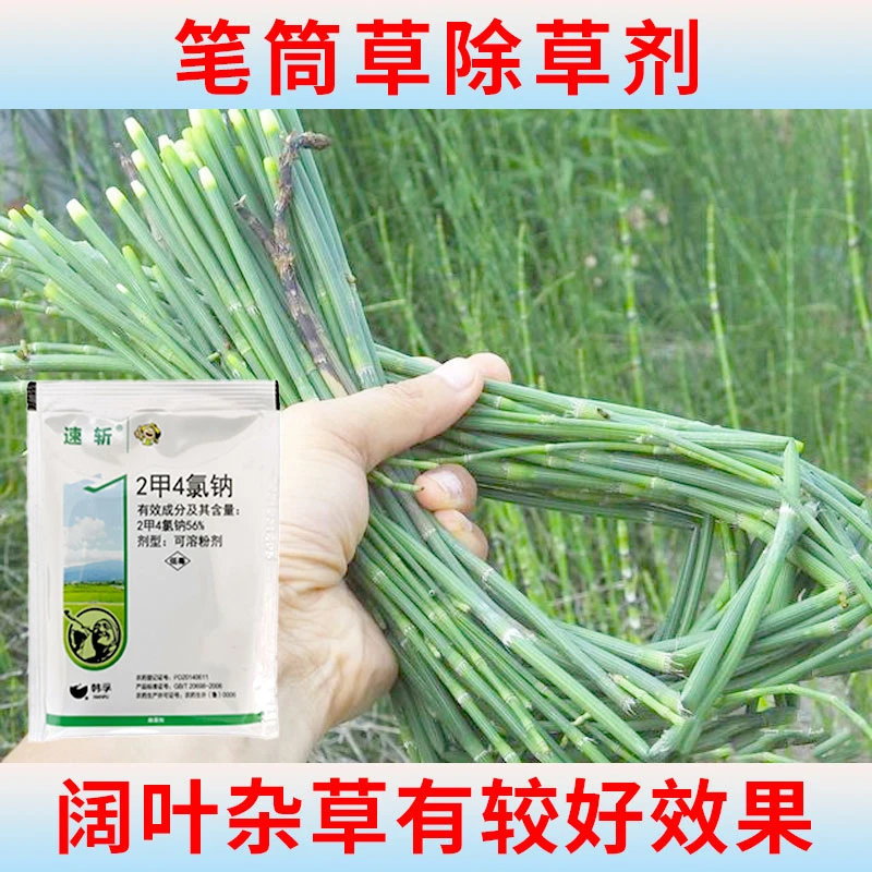 56%二甲四氯钠2甲二钾4氯钠水稻空地草坪笔筒草节节草除草剂