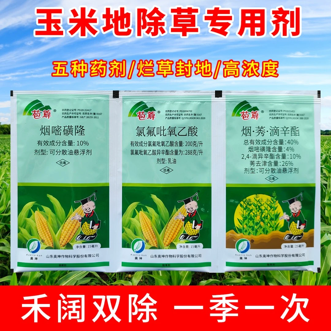玉米地专用除草苗后草烂根烟嘧磺隆莠去津包谷包米苞尊玉米除草剂