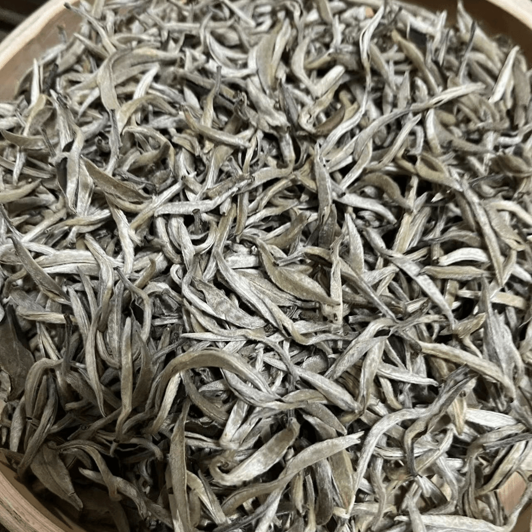 【供销茶叶集团】 展银茶厂  21年黄草林白毫银针  生散500g