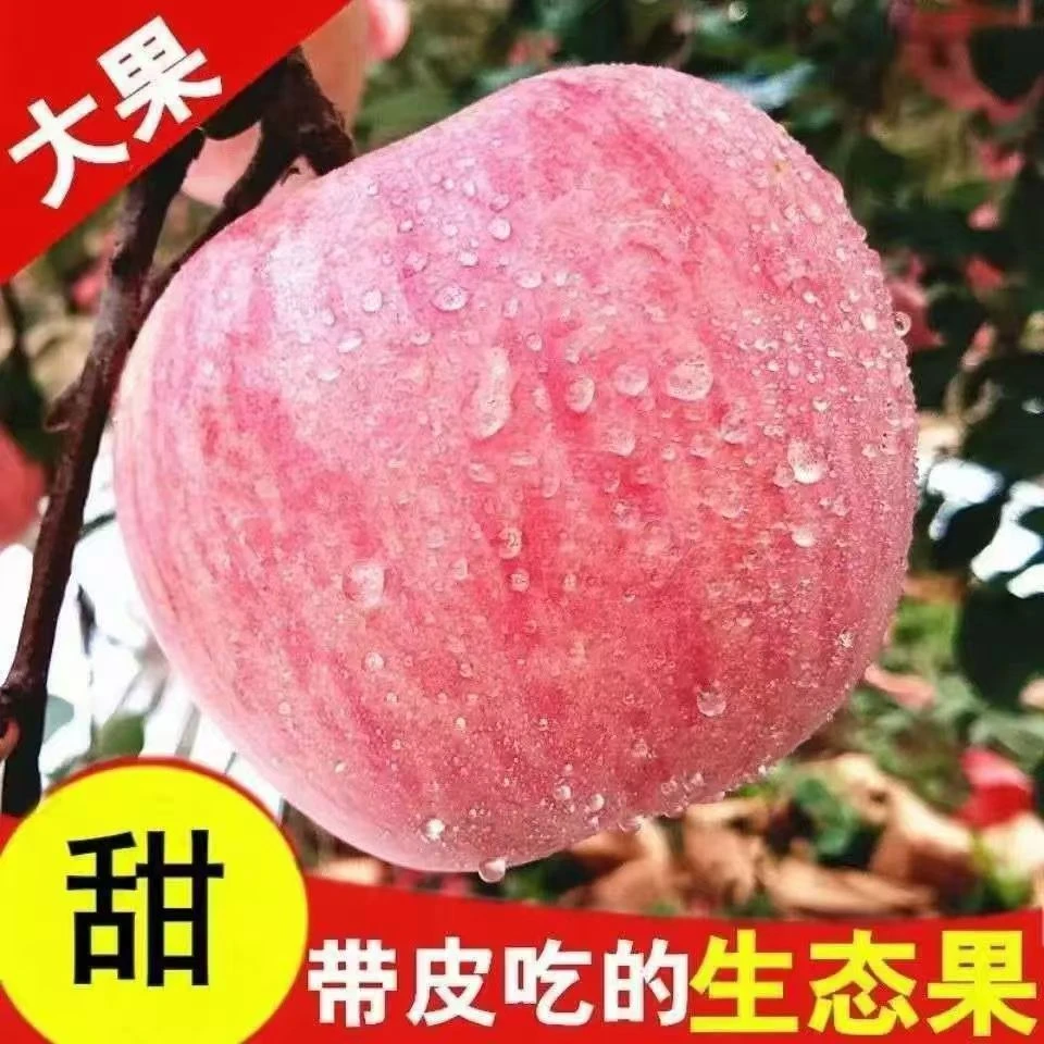 新鲜多汁红富士苹果