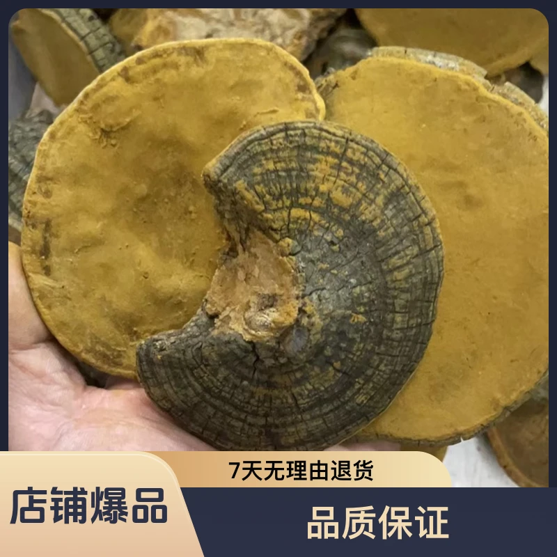 老树桑王 250g农产品
