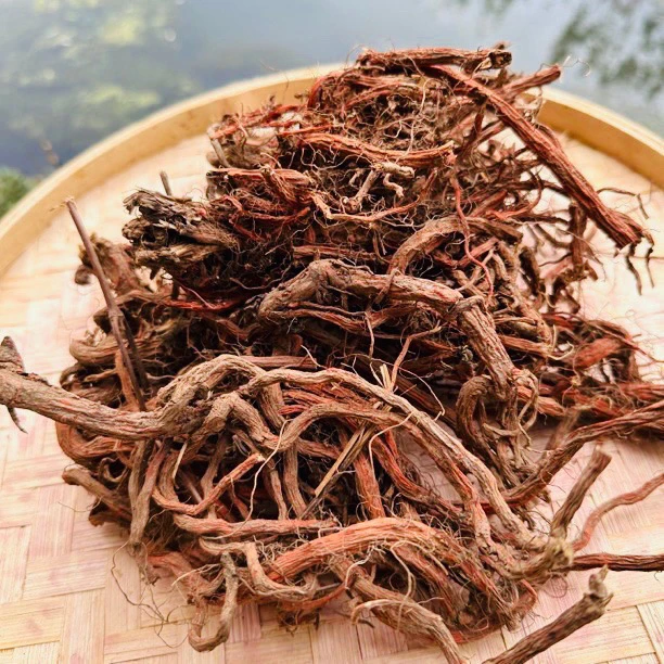 【血旦參】净含量500g