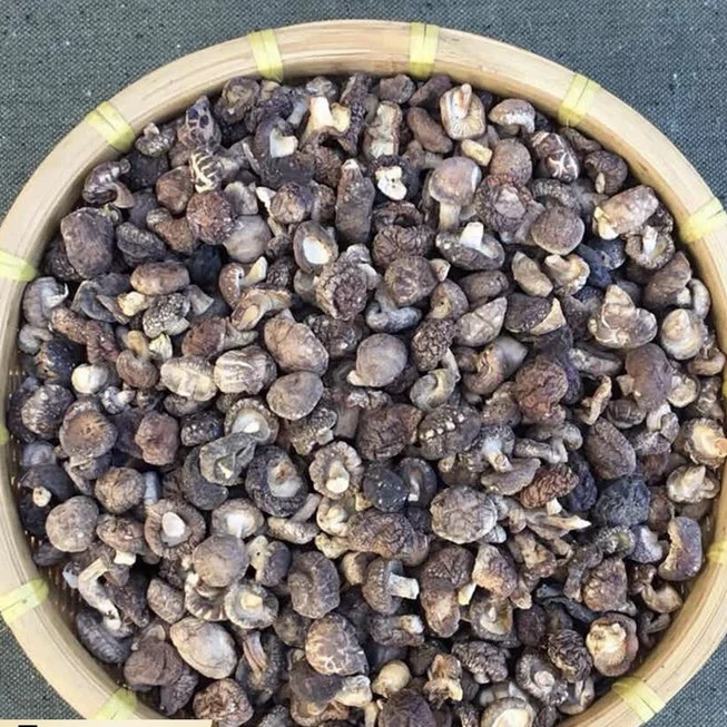 【野生香菇】净含量250g