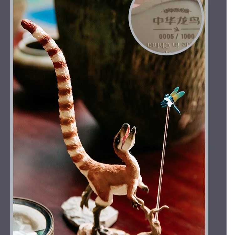 中华恐龙园*TNG联名定制中华龙鸟静态模型摆件